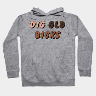 Dig ol’ bicks Hoodie